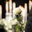 „In Memoriam”
