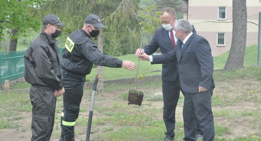 Zasadzili dęby Jan Paweł II