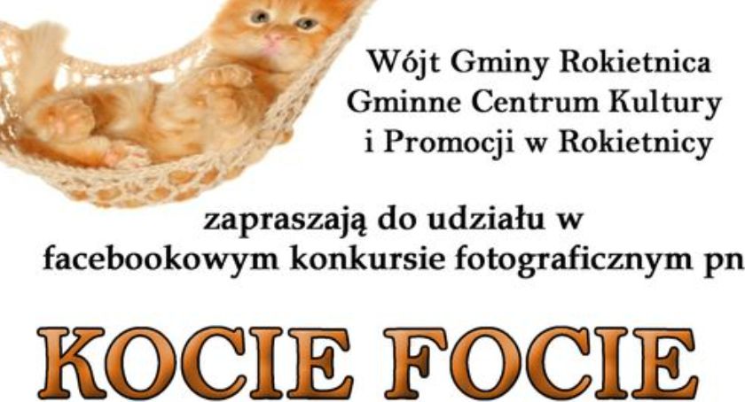 Konkurs fotograficzny KOCIE FOCIE w gminie Rokietnica