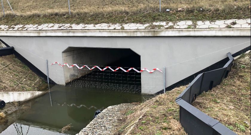 Nie niszczcie wygrodzeń  przy autostradzie! GDDKiA apeluje i przypomina  
