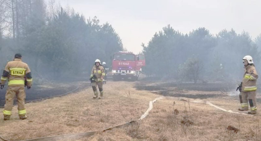 Pożar lasu w Nielepkowicach. 