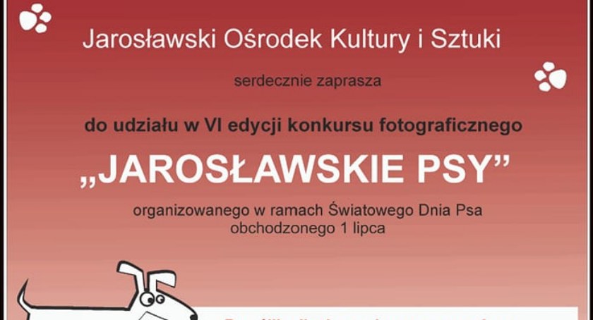 Konkurs 