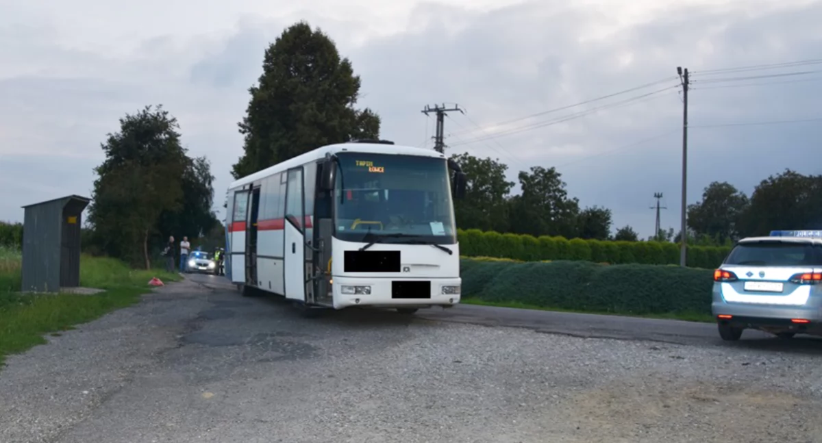 Zdarzenia, żyje latek potrącony przez autobus Tapinie gminie Rokietnica - zdjęcie, fotografia