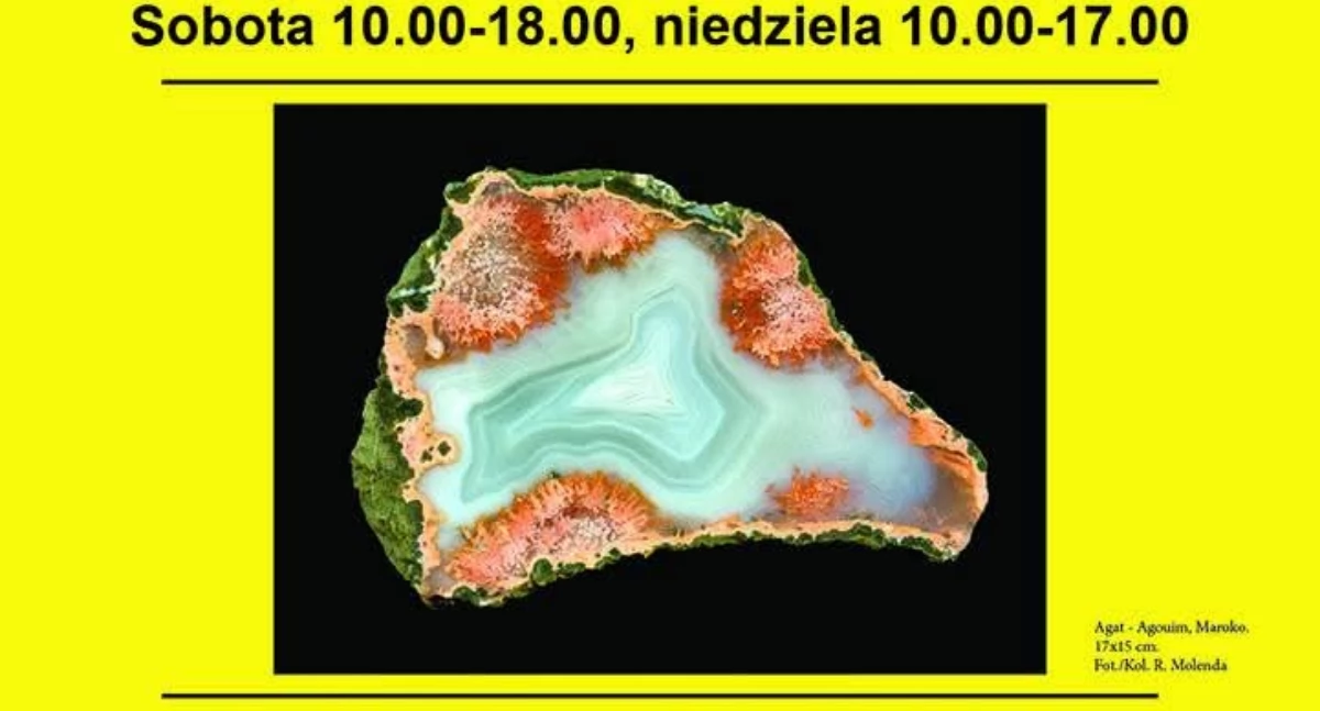 Wydarzenia Jarosław, Przeworsk i okolice, Międzynarodowa Wystawa Giełda Minerałów Rzeszowie - zdjęcie, fotografia