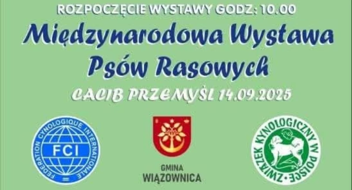 Wydarzenia Jarosław, Przeworsk i okolice, Wystawa Psów Rasowych Gminnym Ośrodku Wypoczynku Rekreacji Radawie - zdjęcie, fotografia