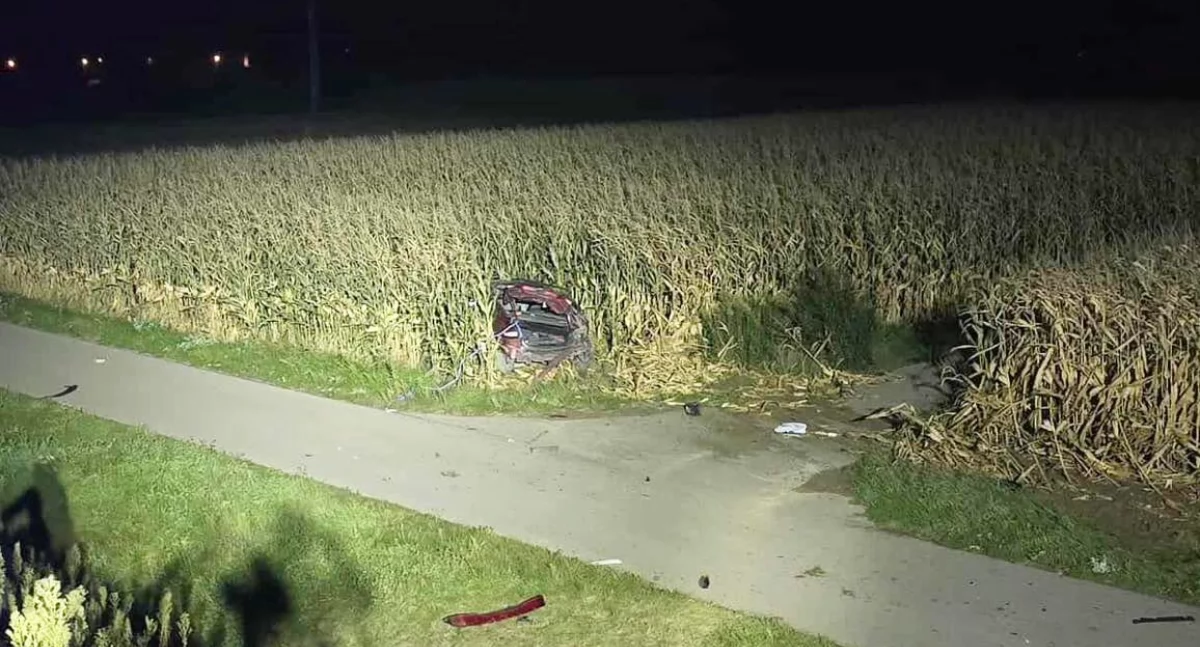 Zdarzenia, Grzęsce zderzyły samochody osobowe Jeden wypadł drogi - zdjęcie, fotografia