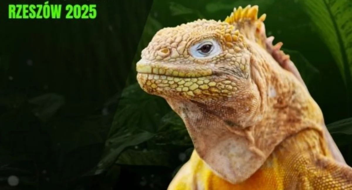 Targi Terrarystyczne w Rzeszowie