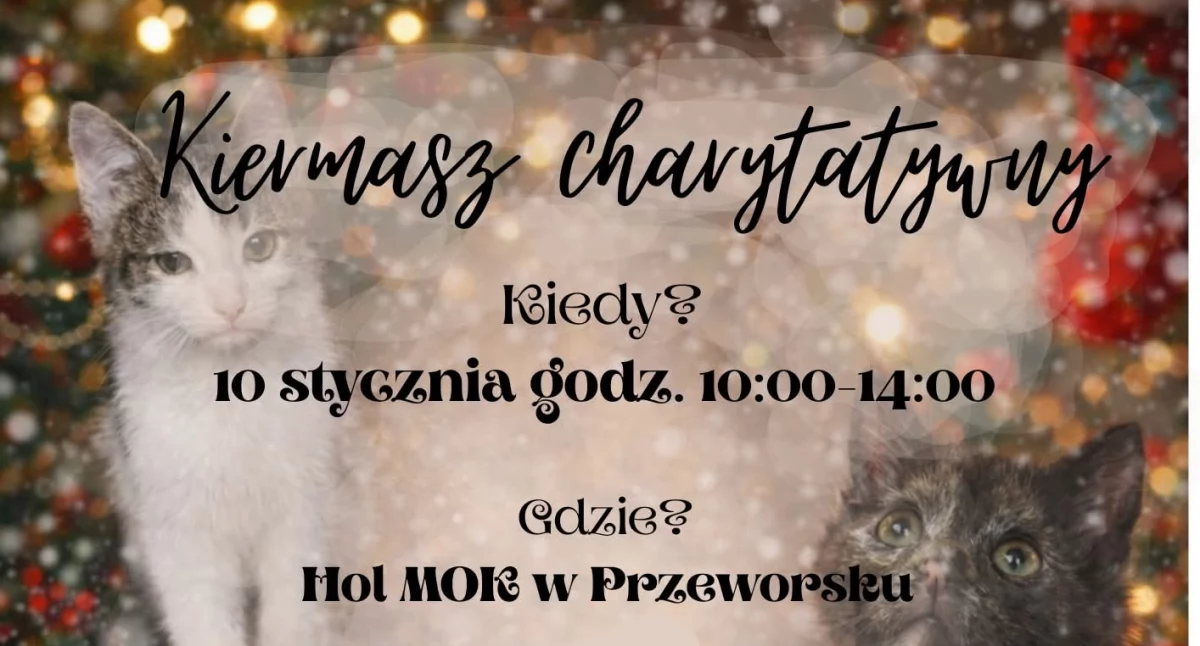 Wydarzenia Jarosław, Przeworsk i okolice, Kiermasz Charytatywny Przeworsku - zdjęcie, fotografia