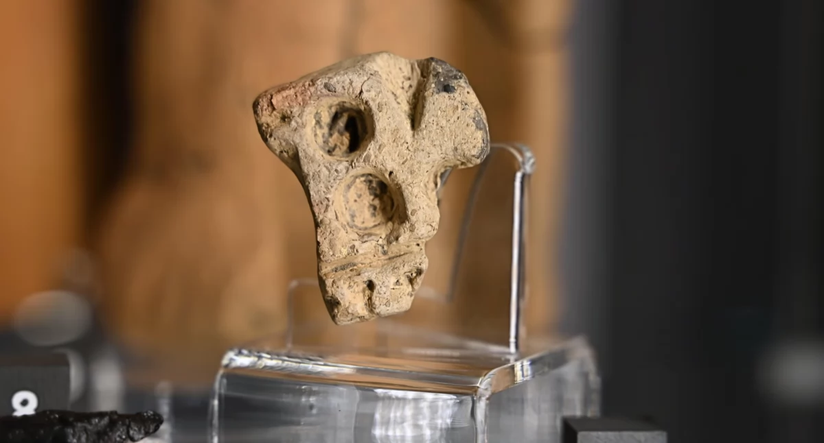 Historia, Tajemniczy gliniany przedmiot znaleziony Nienowicach (gmina Radymno) mógł pieczęcią starożytnych Syginnów - zdjęcie, fotografia