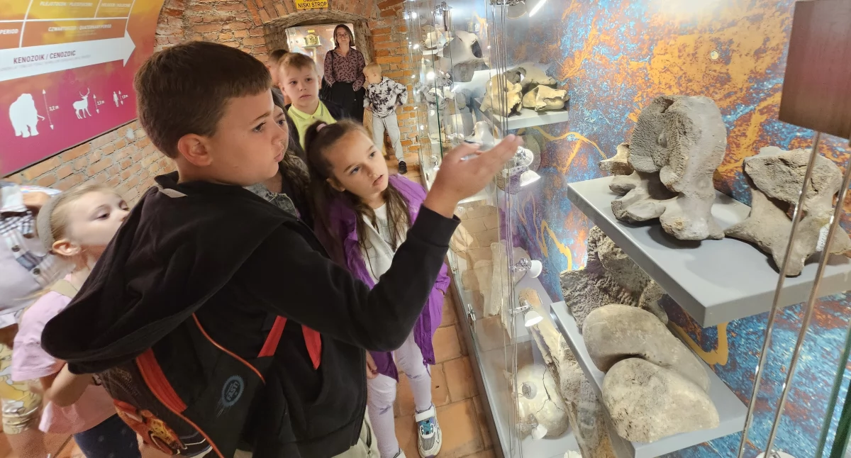 Rozrywka, Ferie w Jarosławiu tygodnie pełne atrakcji - zdjęcie, fotografia