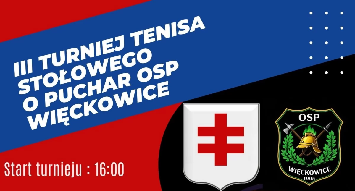 Wydarzenia Jarosław, Przeworsk i okolice, Turniej Tenisa Stołowego Więckowicach - zdjęcie, fotografia