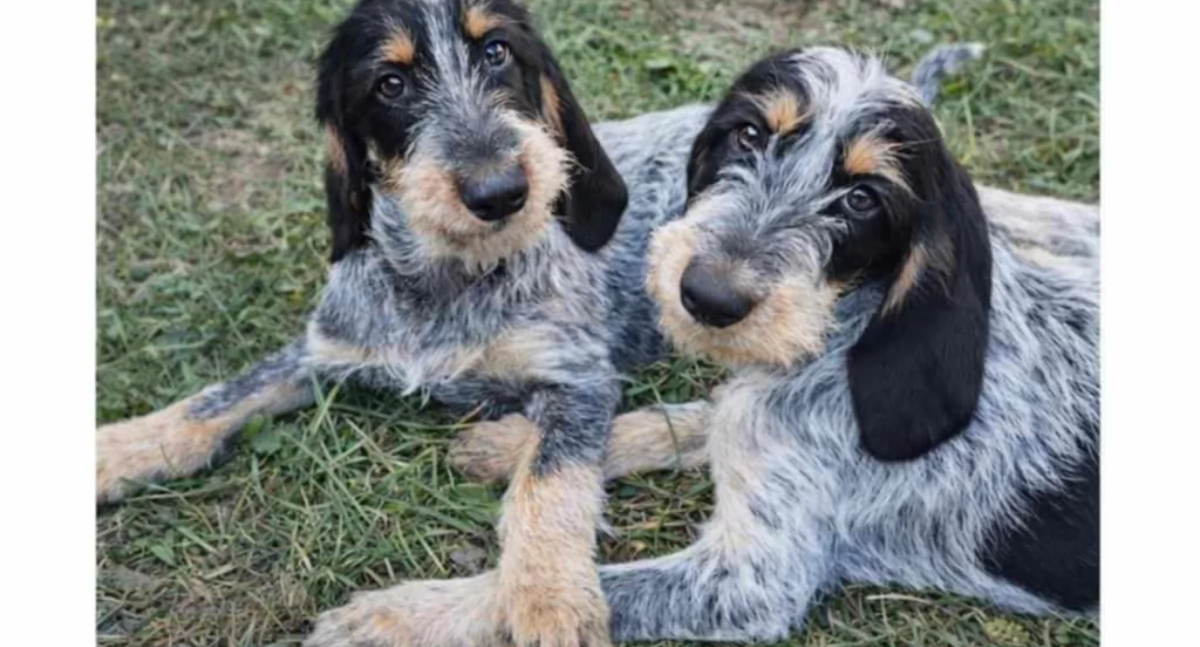 Pomoc, Zaginęły Mołodyczu Przewidziana nagroda - zdjęcie, fotografia
