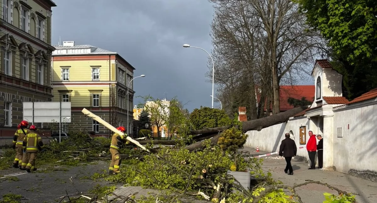 Fot. FB/Parafia Przenajświętszej Trójcy w Jarosławiu, Magdalena Chudzik