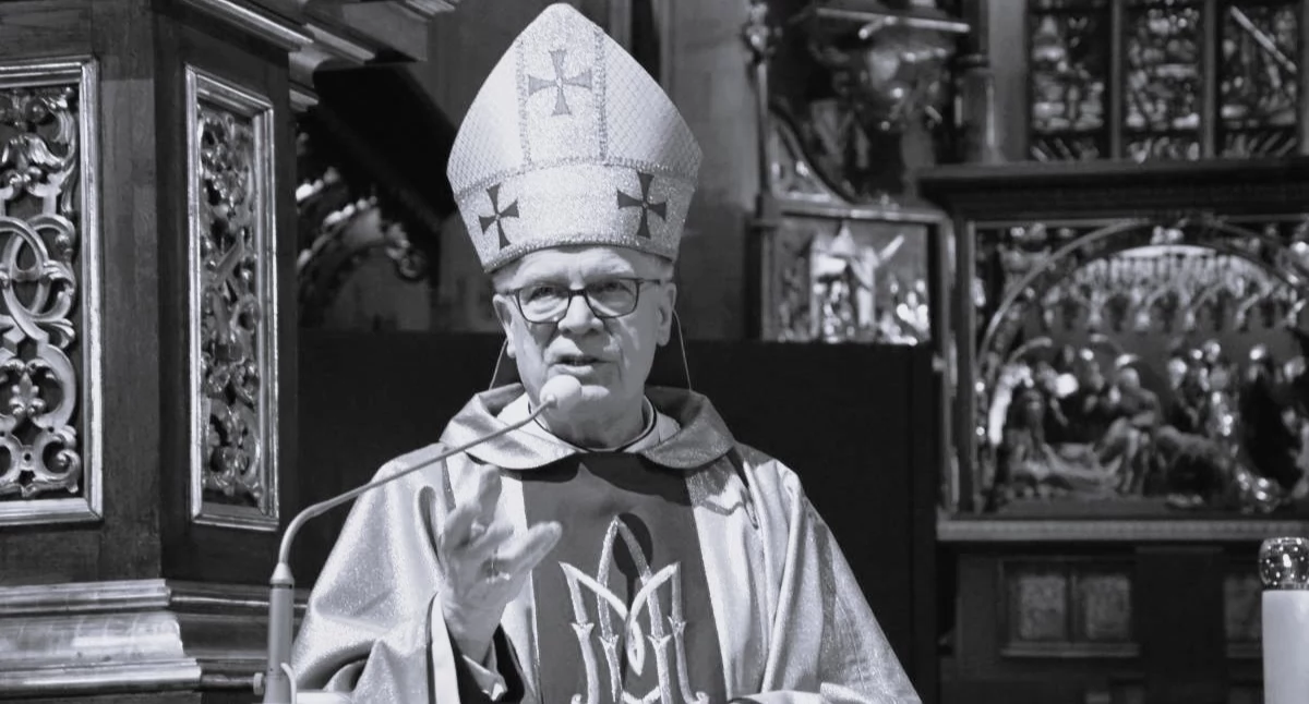 FOT. Hubert Lewkowicz 