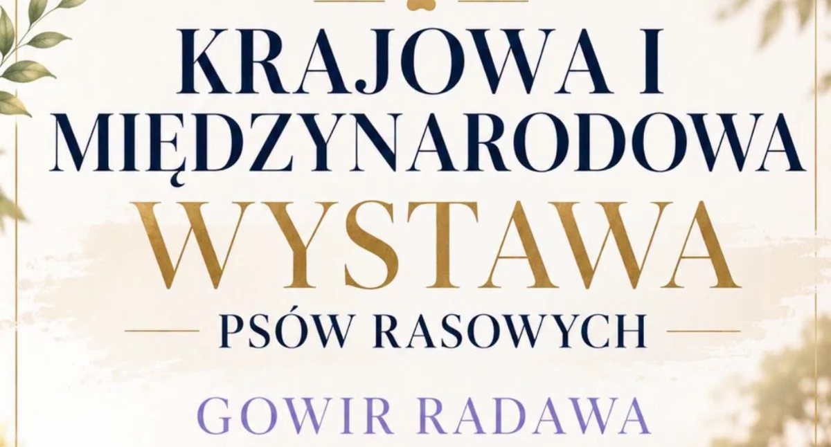 Wydarzenia Jarosław, Przeworsk i okolice, Krajowa Międzynarodowa Wystawa Psów Rasowych Radawie - zdjęcie, fotografia