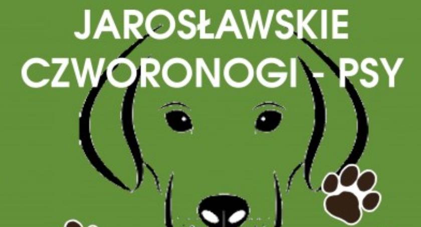 zdjęcie: MOK