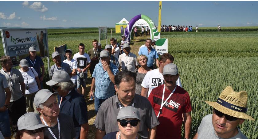 zdjęcie: Dzień Pola