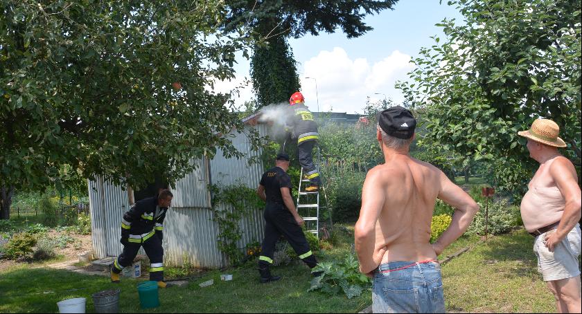 zdjęcie: Pożar domku w Ogródkach Działkowych 