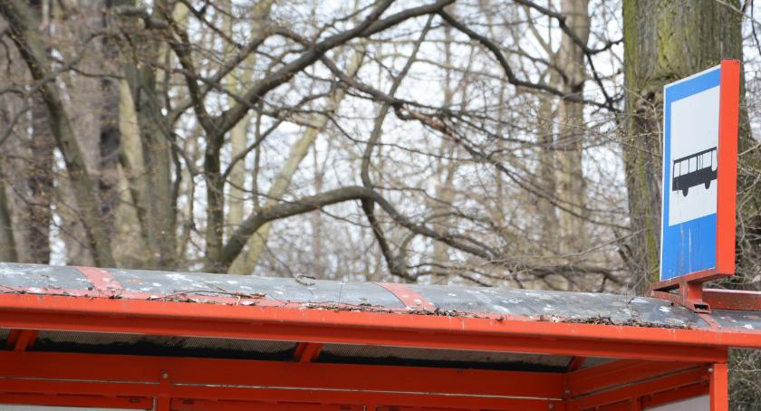 Na przystanek obok parku najlepiej z parasolem