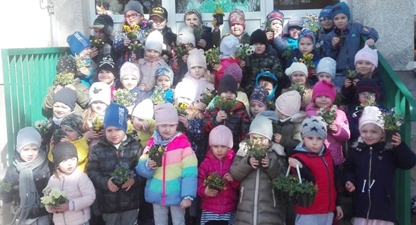 Przedszkolaki posadziły bratki