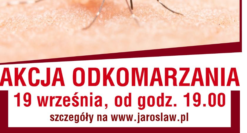 Wrześniowa akcja odkomarzania i odkleszczania miasta 