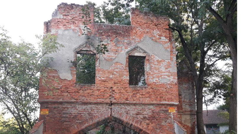 Wakacje na ziemi jarosławskiej: Na spotkanie drzew sadzonych przez króla