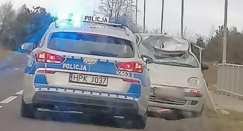 Łoś wpadł pod samochód 