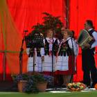 zdjęcie nr 185