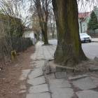 zdjęcie nr 10