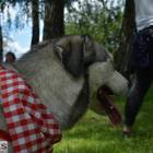 zdjęcie nr 104