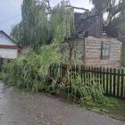 zdjęcie nr 7