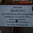 zdjęcie nr 45