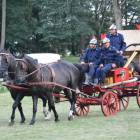 zdjęcie nr 254