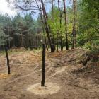 zdjęcie nr 16