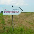 zdjęcie nr 7