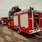 Fotka nr 1 z 11