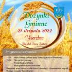 zdjęcie nr 10