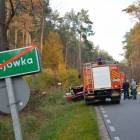 zdjęcie nr 11
