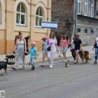 zdjęcie nr 14