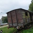 zdjęcie nr 5