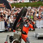 Fotka nr 1 z 12