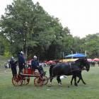 zdjęcie nr 232