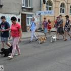 zdjęcie nr 31