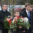 zdjęcie nr 31