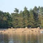 zdjęcie nr 73
