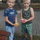 zdjęcie nr 29