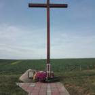 zdjęcie nr 10
