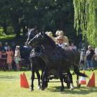 zdjęcie nr 46