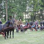 zdjęcie nr 258