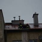 Fotka nr 4 z 12